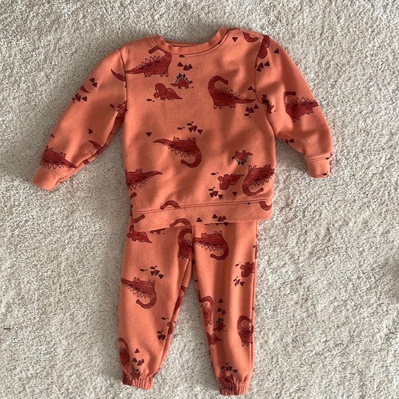 Dinosaur Sweatsuit Set - Picture 1 of 4
